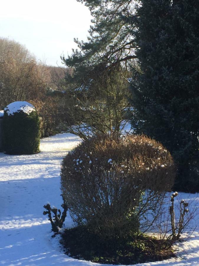 La Ferme Des Ruelles Bed and Breakfast Moigny Eksteriør billede